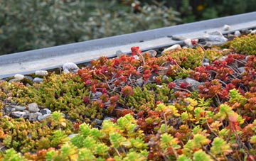 the cost of Sinnington green roof installation